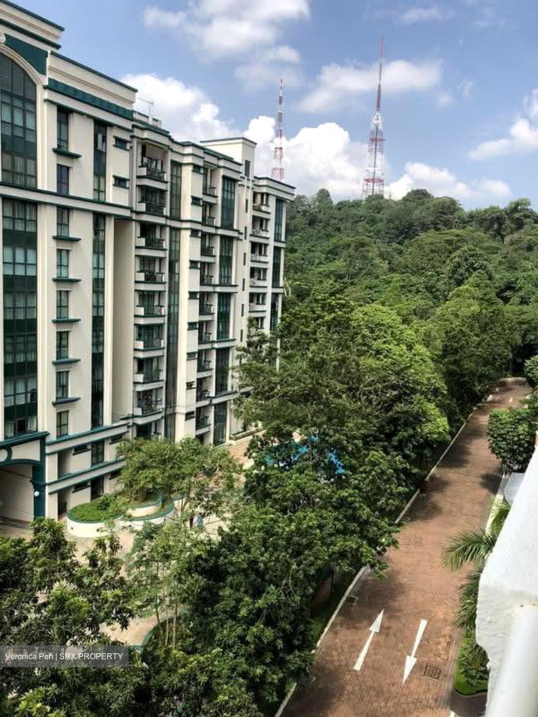 The Petals (D23), Condominium #630712051